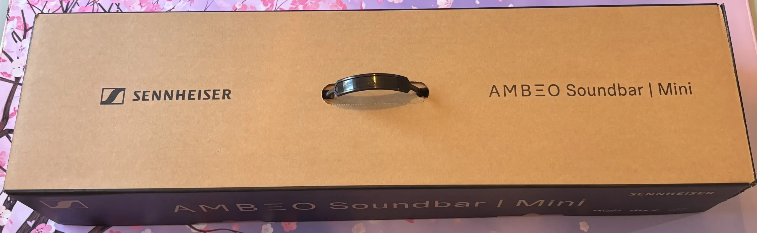 embalaje barra sonido sennheiser ambeo mini