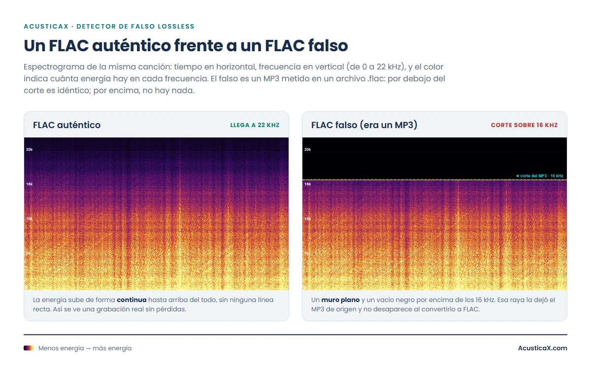 Espectrograma de un FLAC auténtico frente a un FLAC falso: el auténtico llega a 22 kHz y el falso muestra un corte plano de MP3 sobre los 16 kHz