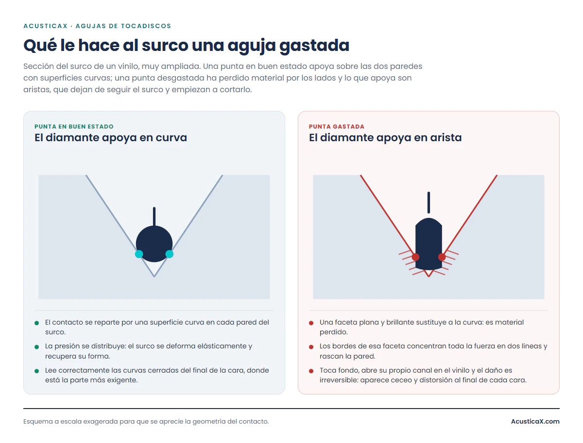 Comparación entre una punta nueva y una aguja gastada dentro del surco del vinilo: la faceta plana apoya con aristas y raya la pared del surco
