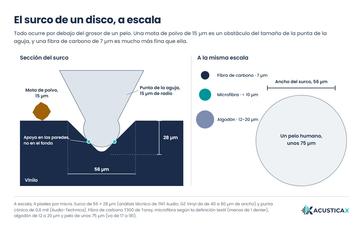 Limpiar discos de vinilo: el surco a escala, con la punta de la aguja, una mota de polvo, fibras de carbono y de microfibra y un pelo humano
