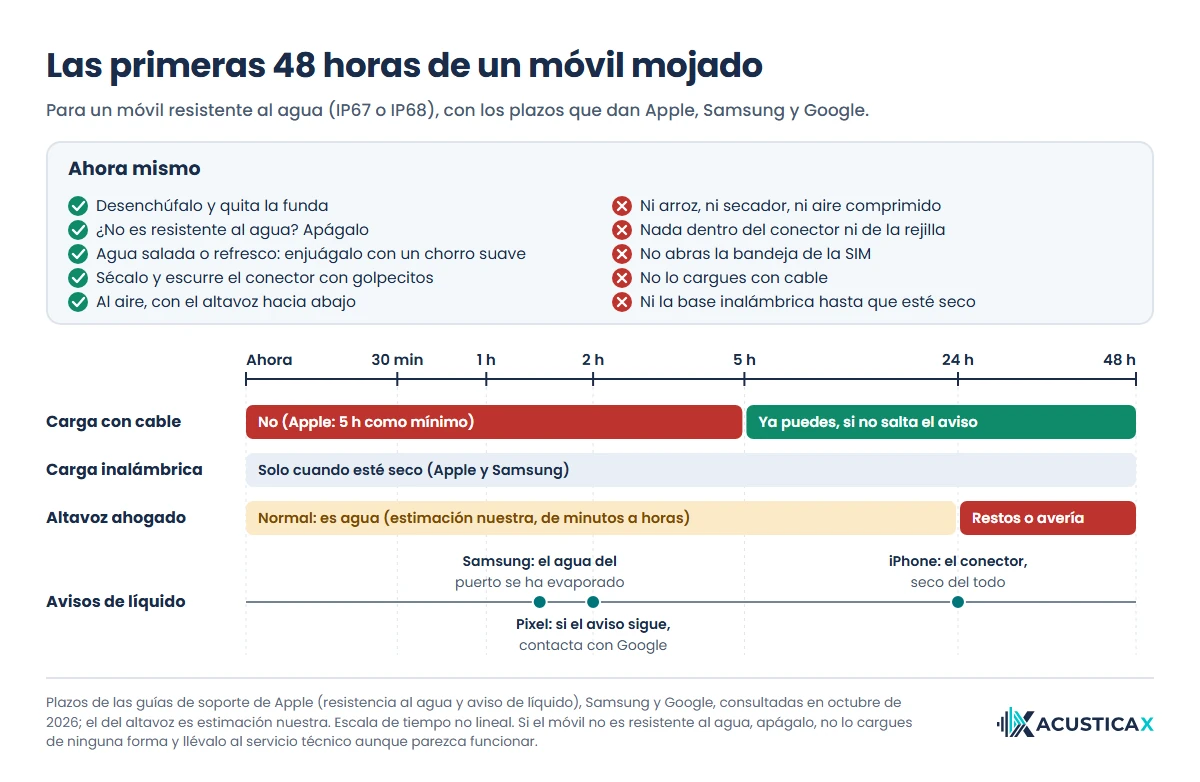 Qué hacer con un móvil mojado en las primeras 48 horas: cuándo cargarlo, cuándo vuelve el altavoz y qué dicen los avisos